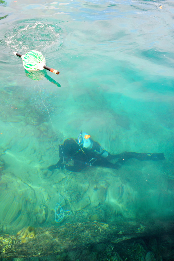 Australia — Navy clearance divers mentor Royal Solomon Islands Police in explosive ordnance disposal